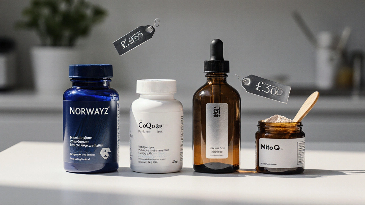 Top Alternatives to Norwayz